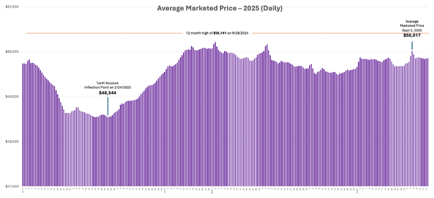 AMP First Graph