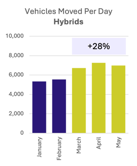 HYBRIDS-2